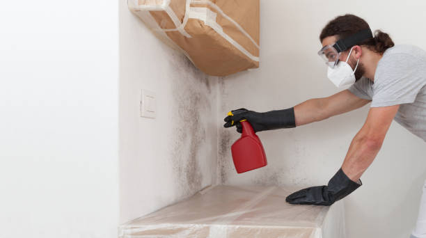 Professional Mold Removal technician working in Union, OR